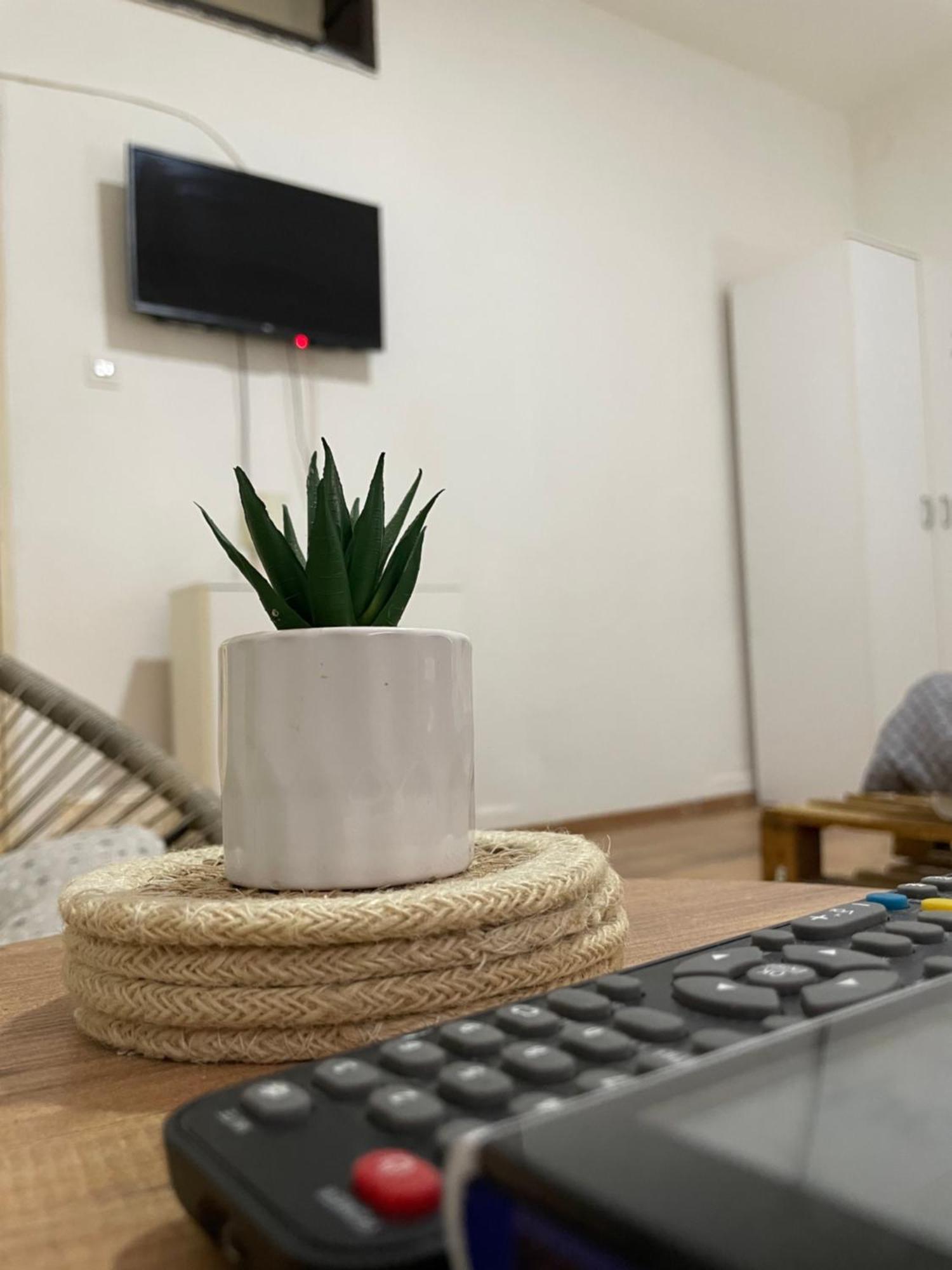 Zaječar Fenix Apartman II מראה חיצוני תמונה
